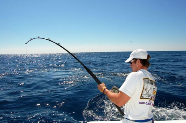  La emoción en la actividad 